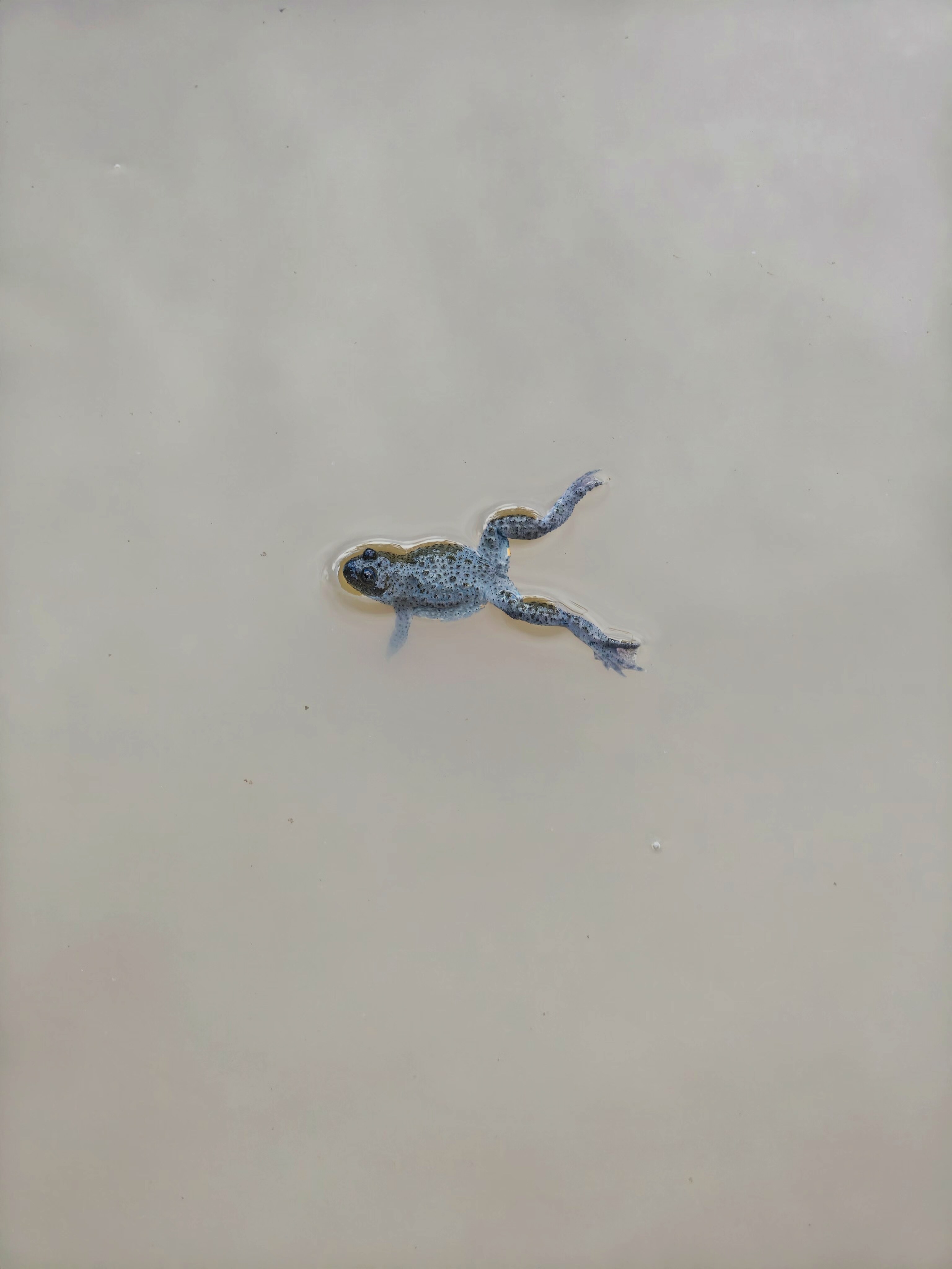 IMG 20240805 182504