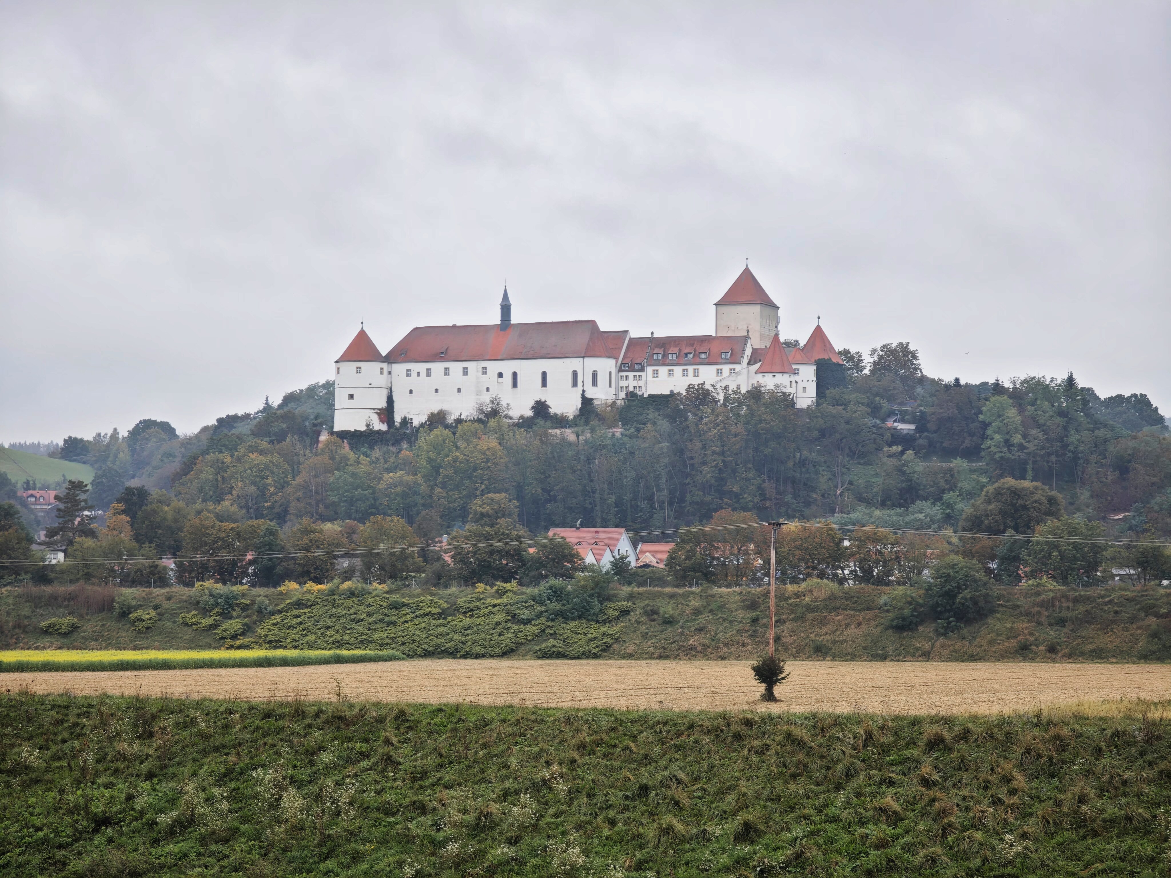 IMG 20241006 115015