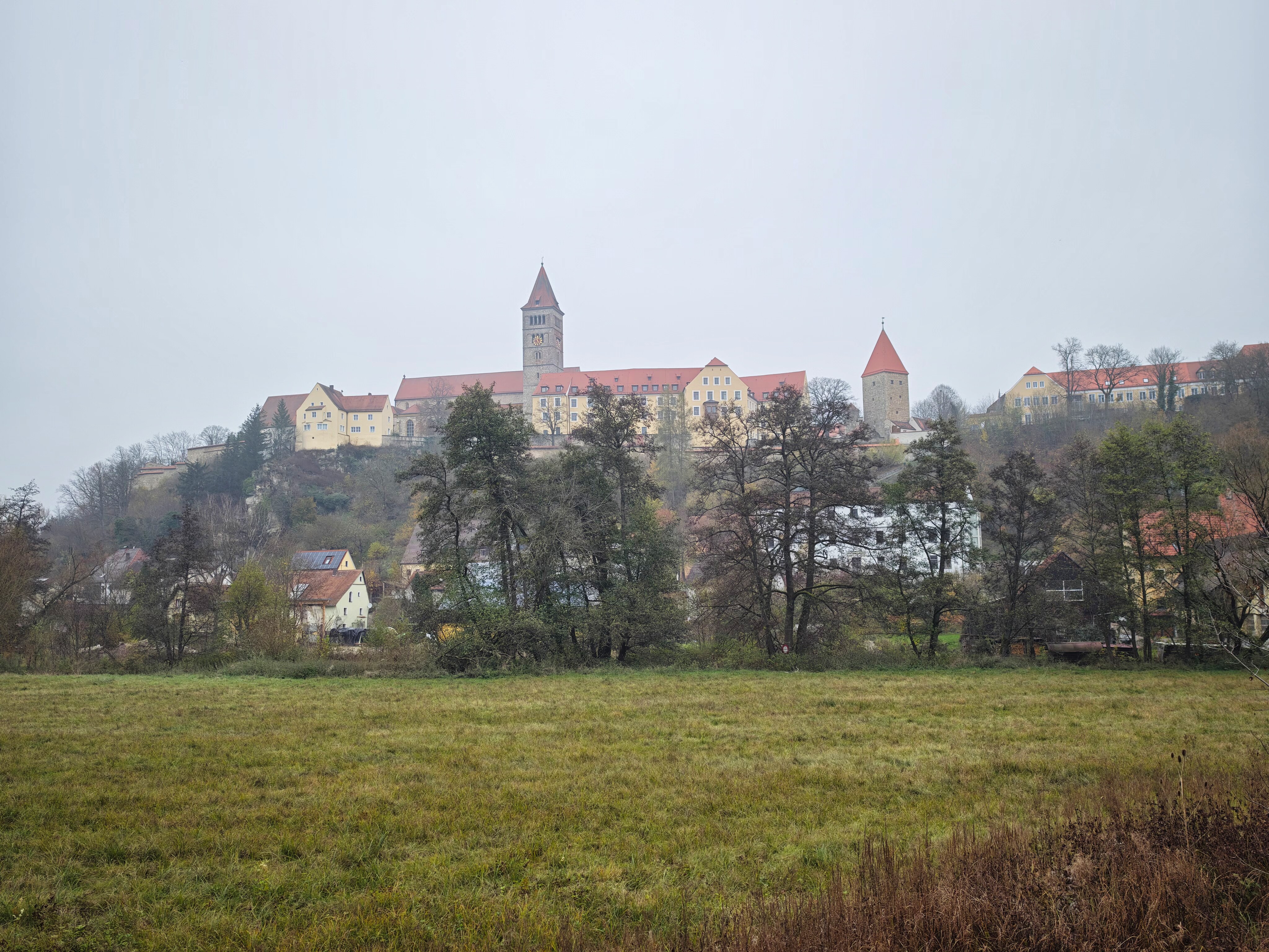 IMG 20241109 122434