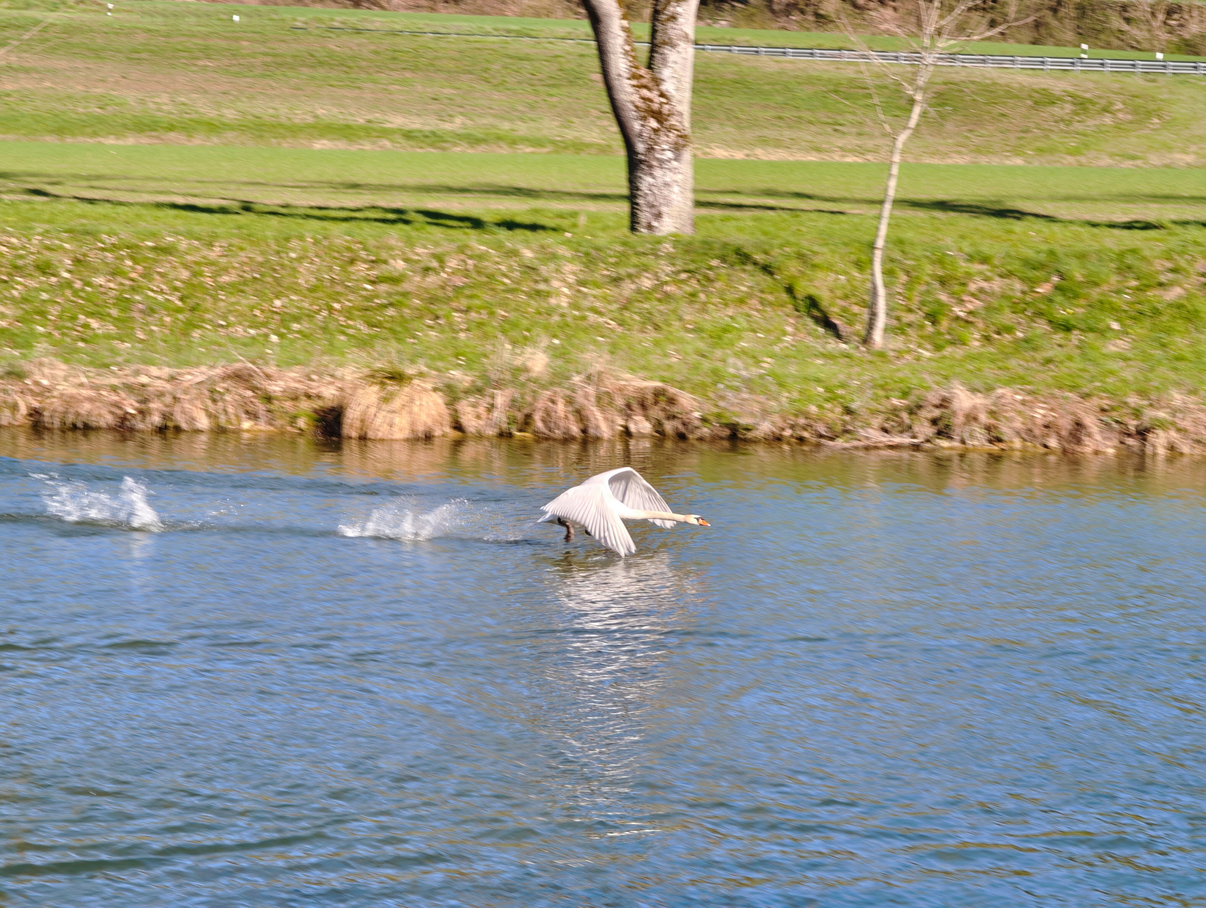 IMG 20250404 102027