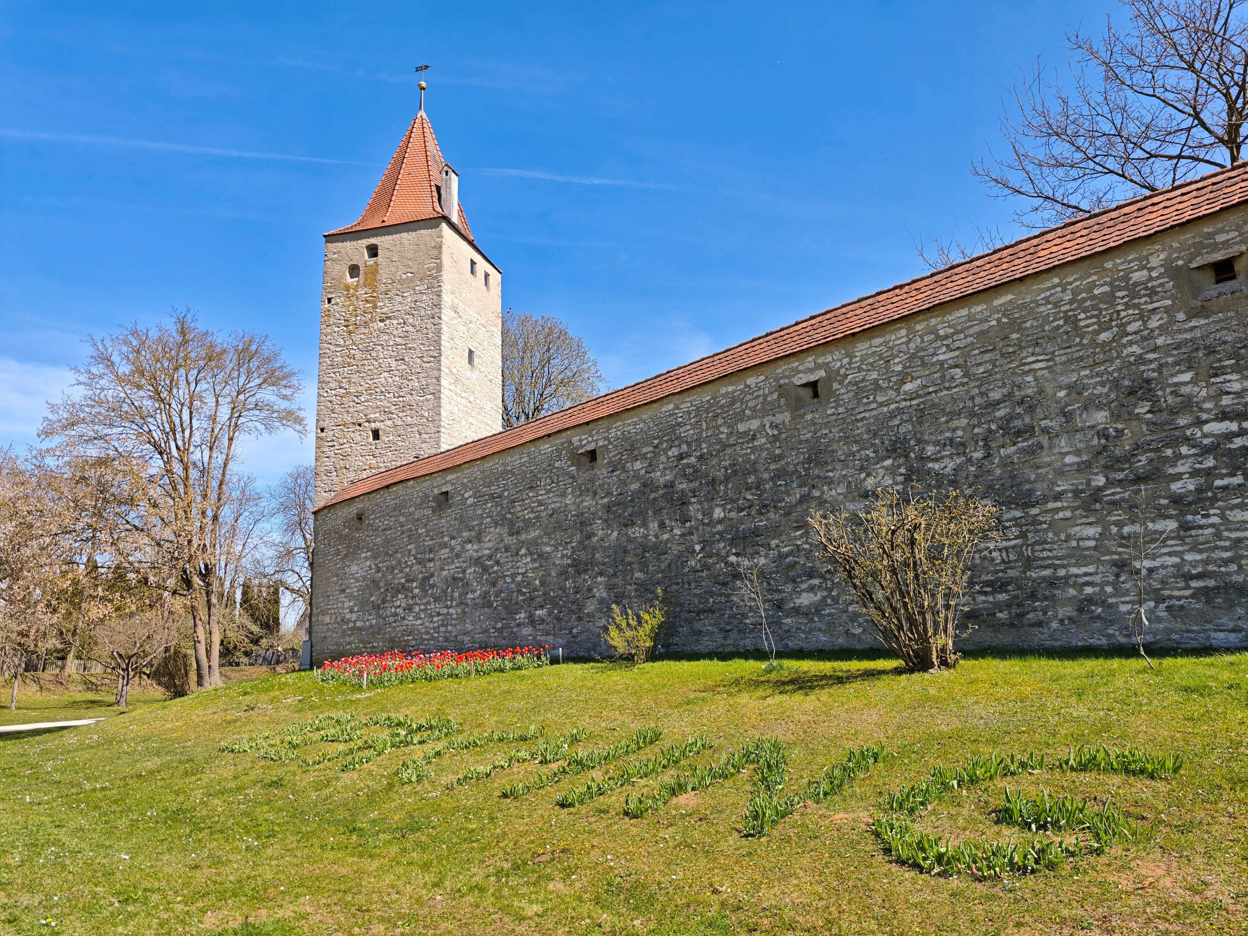 IMG 20250412 123631