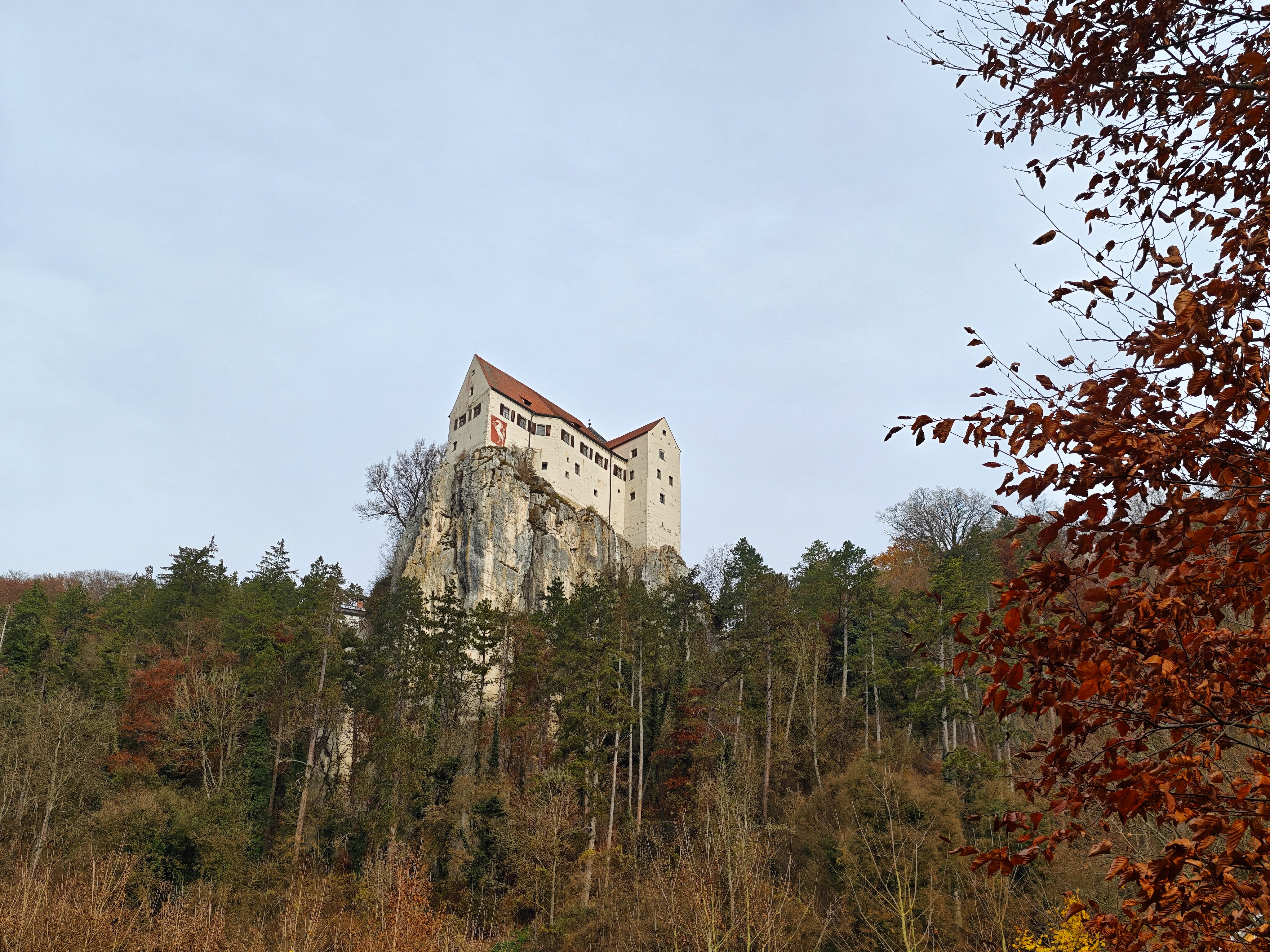 IMG 20251114 123946