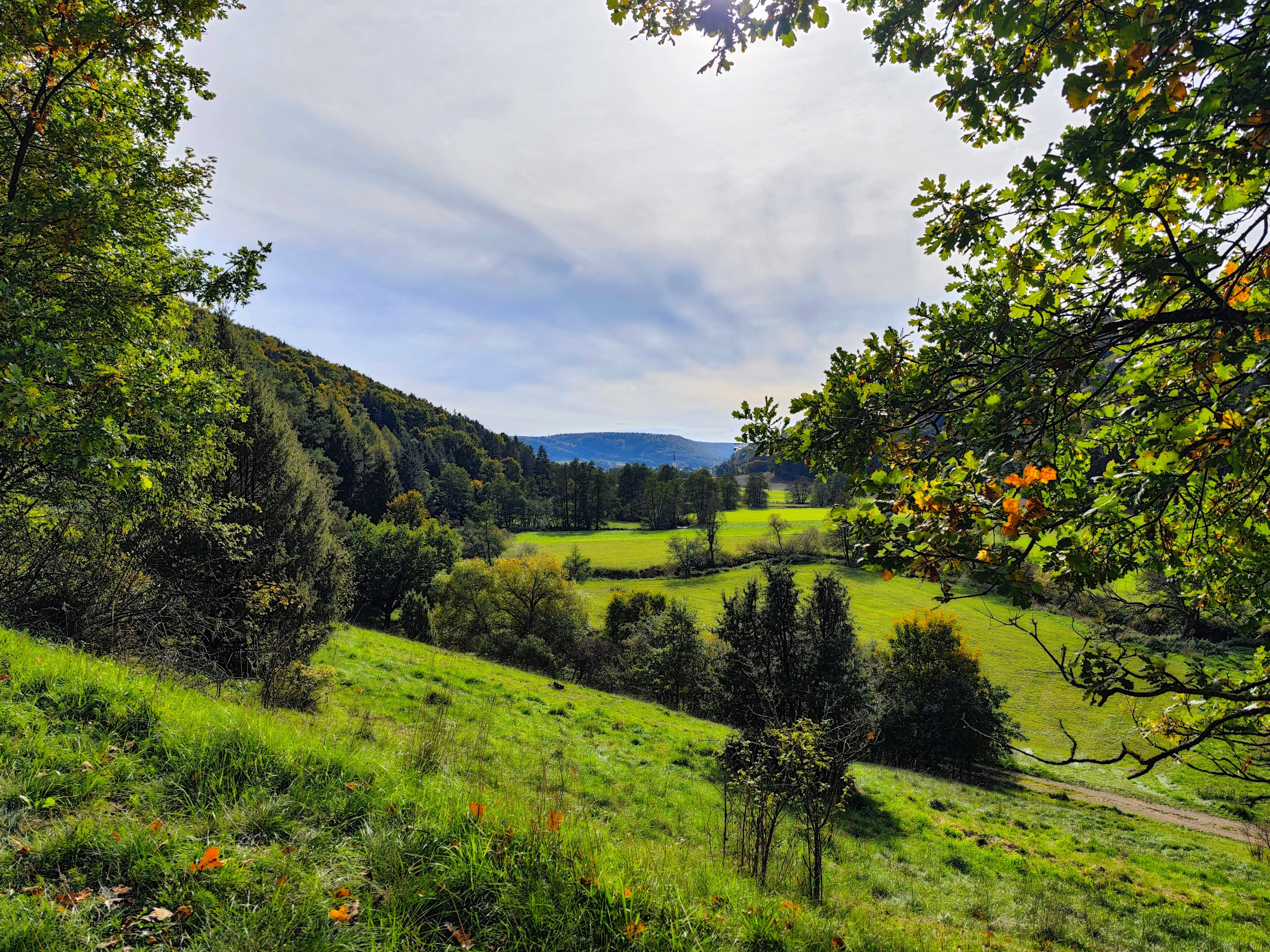 IMG 20221009 151031