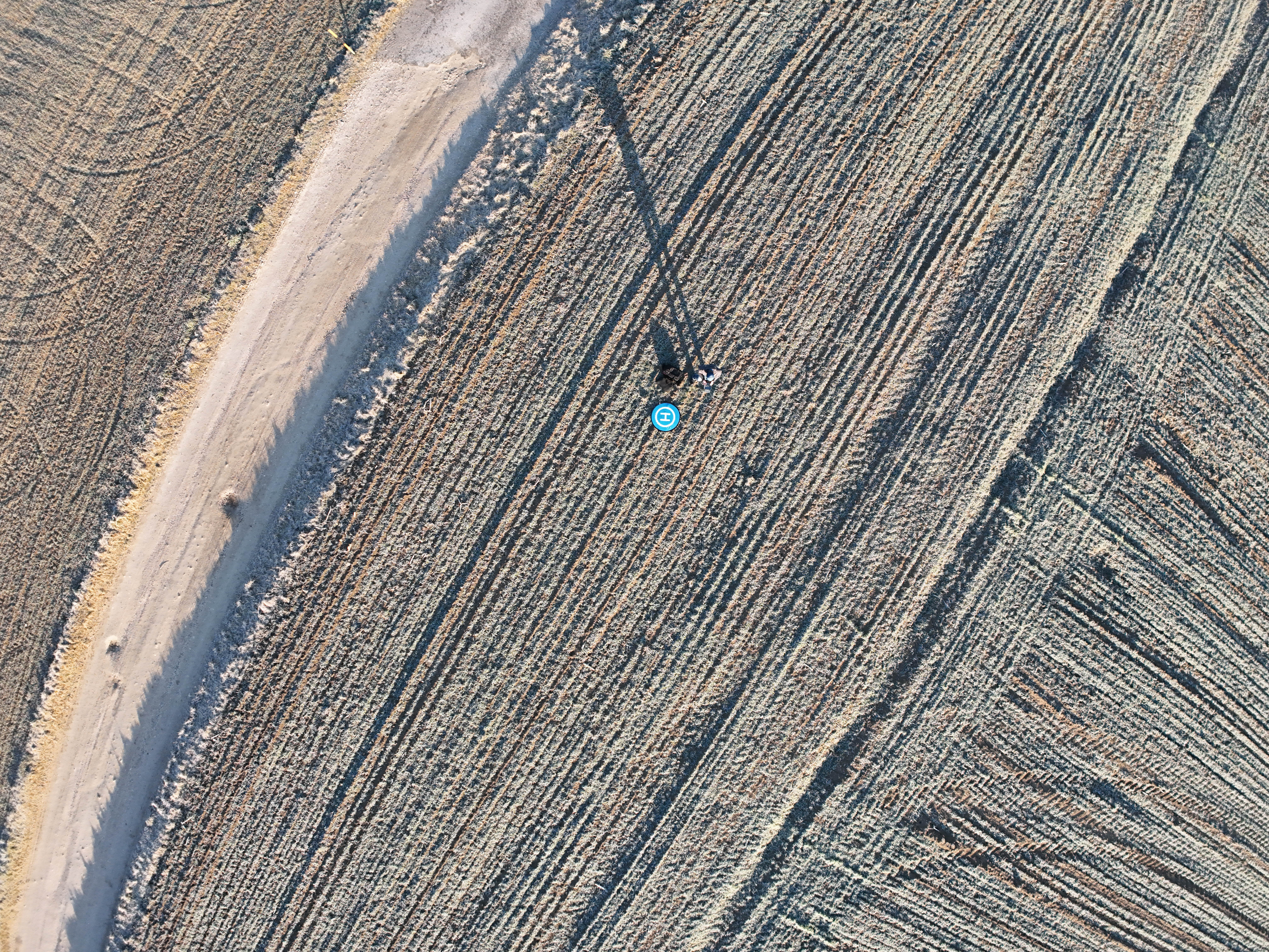 Dji fly 20250202 085250 0653 1738517580628 photo