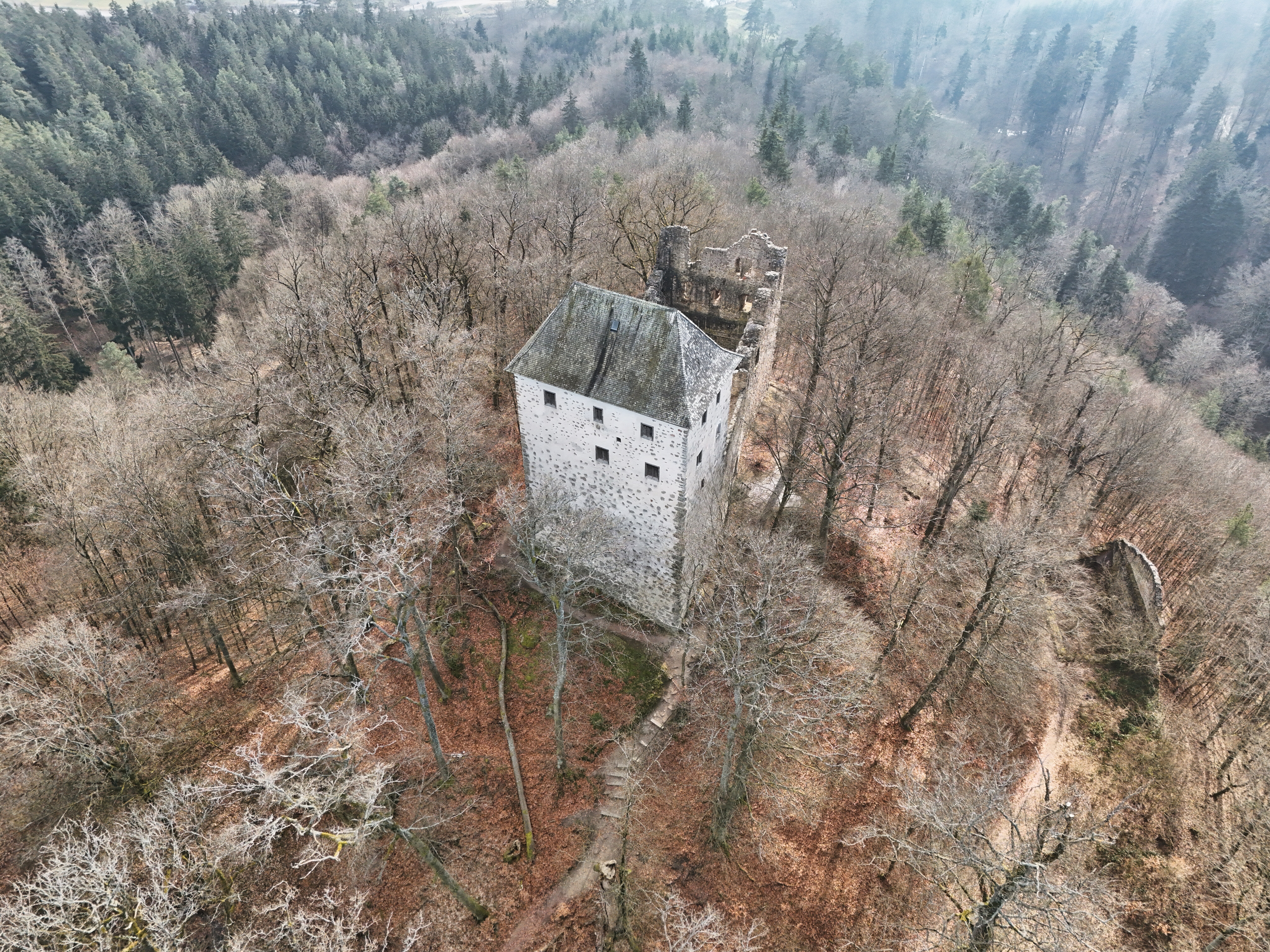 Dji fly 20250209 133834 0942 1739113928914 photo