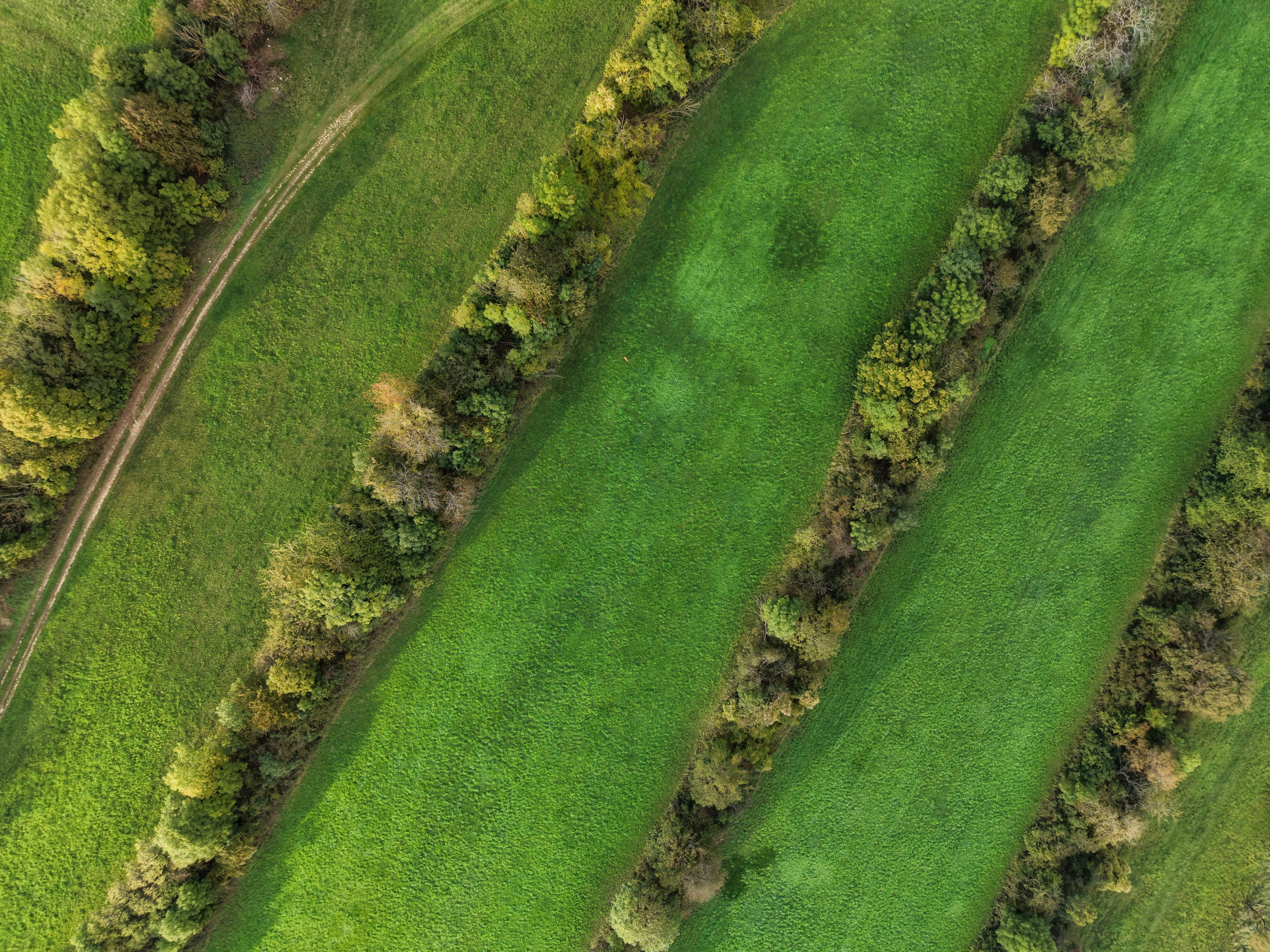 Dji fly 20251001 173404 0249 1759345032805 photo